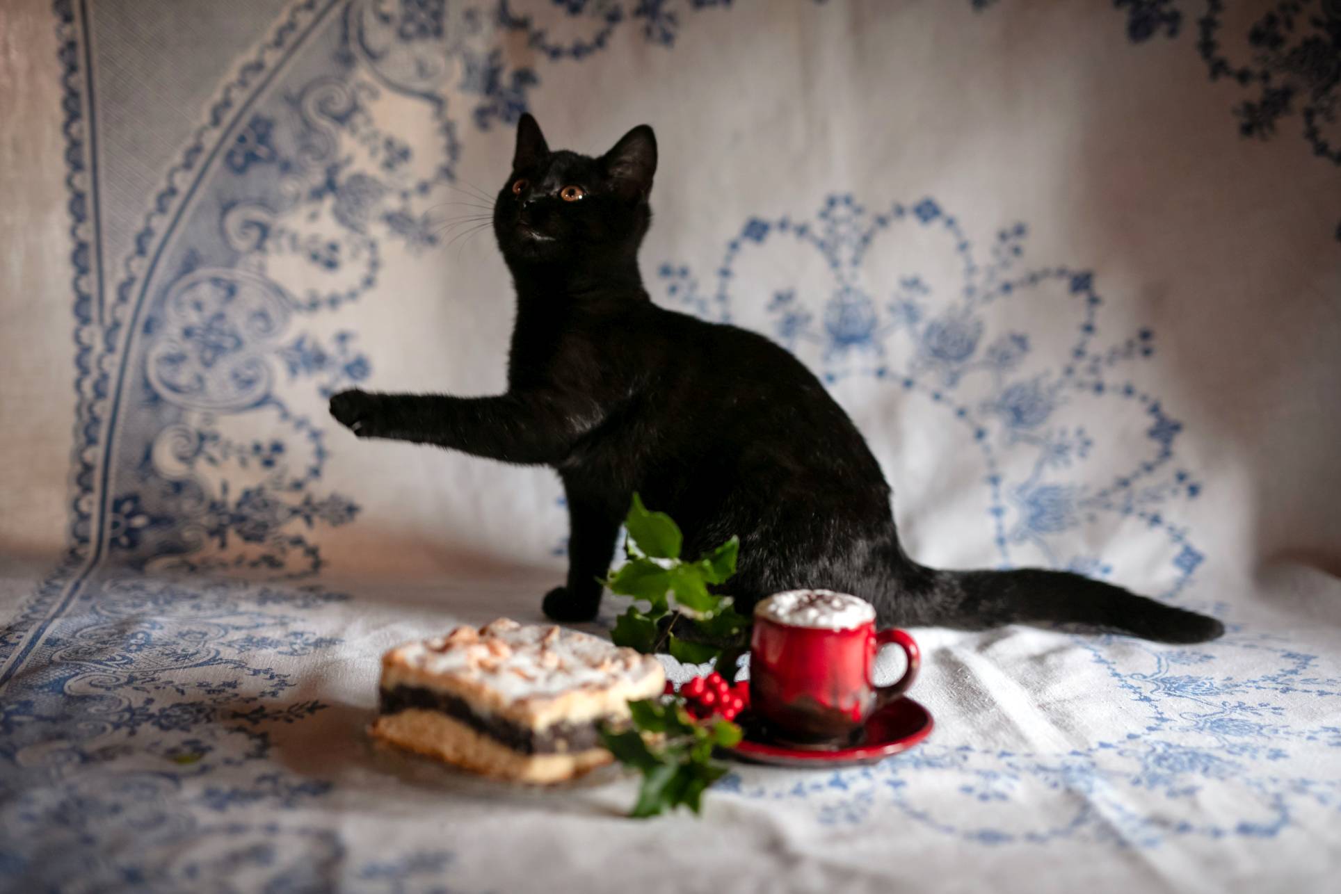 czarny kot na obrusowym tle z kawą i ciastem